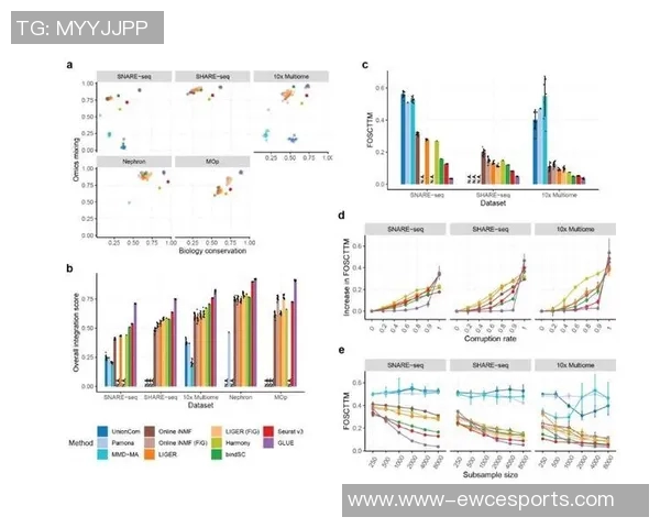 数据分析WE团队在比赛中的经验与表现总结与反思